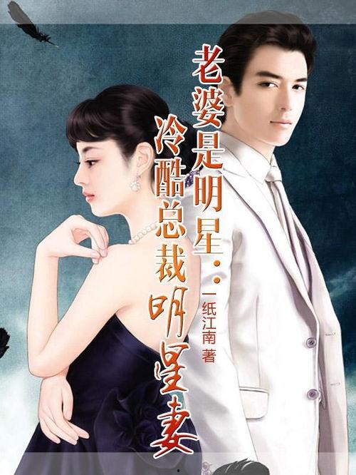 霸道总裁明星老婆